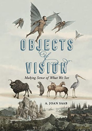 Objects of Vision: Making Sense of What We See: 3 (Perspectives on Sensory History) - Saab [KSIĄŻKA]