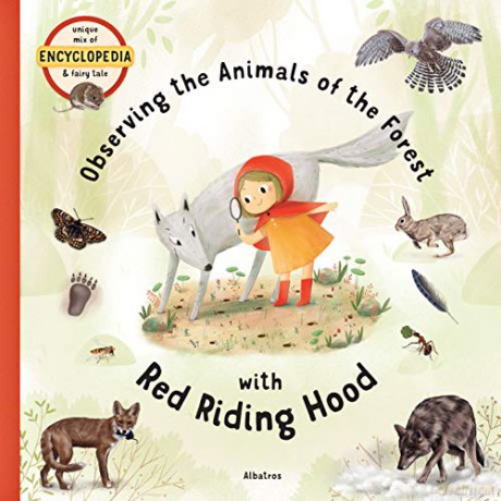 Observing the Animals of the Forest with Little Red Riding Hood (Fairytale Encyclopedia) - Stepanka Sekaninova [KSIĄŻKA]