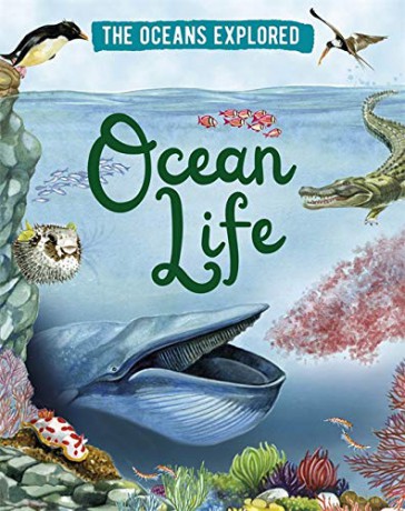 Ocean Life - Claudia Martin [KSIĄŻKA]