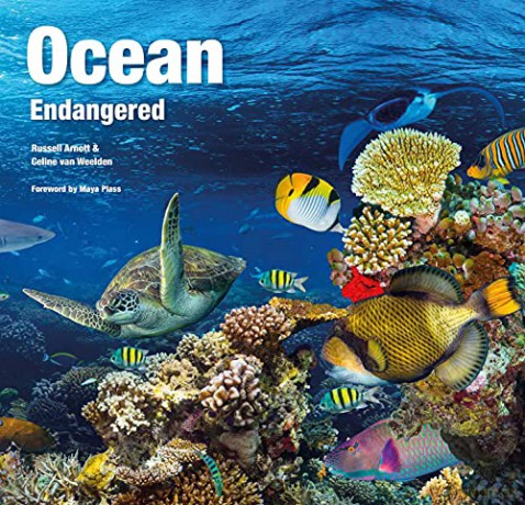 Ocean: Endangered (Abandoned Places) - Celine Van Weelden [KSIĄŻKA]