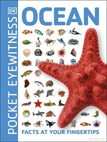 Ocean: Facts at Your Fingertips (Pocket Eyewitness) [KSIĄŻKA]