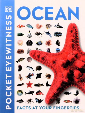Ocean: Facts at Your Fingertips (Pocket Eyewitness) [KSIĄŻKA]