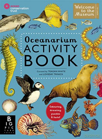 Oceanarium Activity (Welcome To The Museum) - Loveday Trinick [KSIĄŻKA]