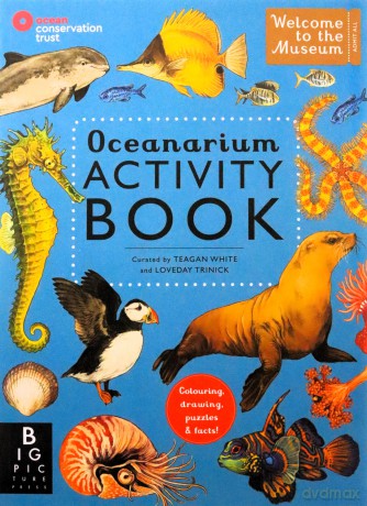 Oceanarium Activity (Welcome To The Museum) - Loveday Trinick [KSIĄŻKA]