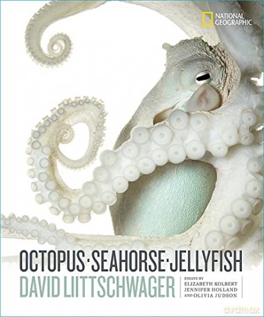 Octopus, Seahorse, Jellyfish - David Littschwager [KSIĄŻKA]