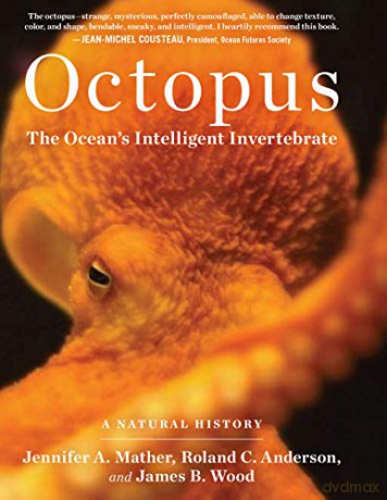 Octopus: The Ocean's Intelligent Invertebrate - Jennifer A. Mather [KSIĄŻKA]