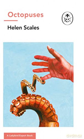 Octopuses: A Ladybird Expert Book: 32 (The Ladybird Expert Series, 32) - Dr Helen Scales [KSIĄŻKA]