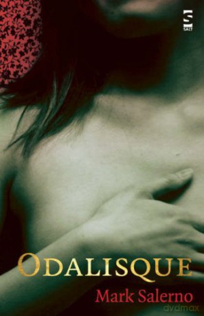 Odalisque (Salt Modern Poets) - Mark Salerno [KSIĄŻKA]