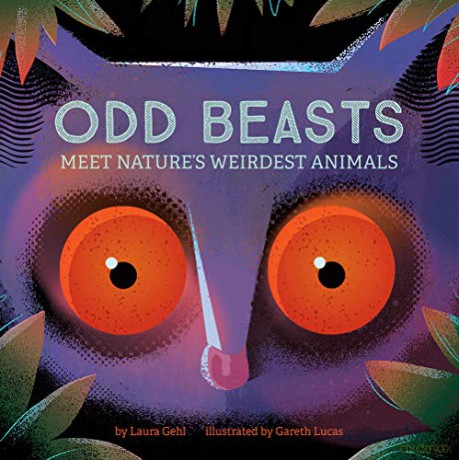 Odd Beasts: Meet Nature's Weirdest Animals - Laura Gehl [KSIĄŻKA]