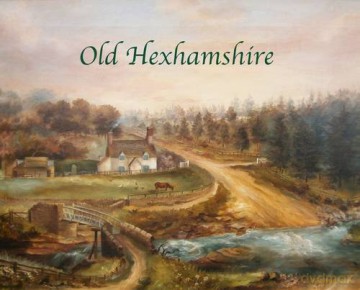 Old Hexhamshire: A Glimpse into the History of the 'Shire Over the Centuries - Hilary Kristensen [KSIĄŻKA]