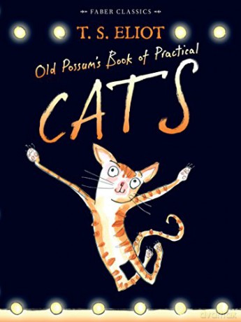 Old Possum's Book of Practical Cats: with illustrations by Rebecca Ashdown: 1 (Faber Children's Classics) - T. S. Eliot [KSIĄŻKA]