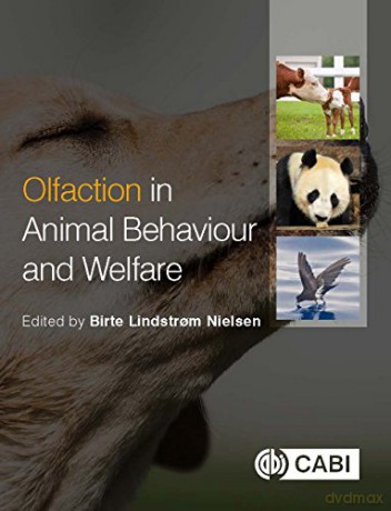 Olfaction in Animal Behaviour and Welfare - Birte L Nielsen [KSIĄŻKA]