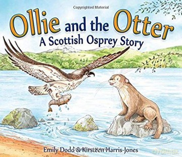 Ollie and the Otter: A Scottish Osprey Story (Picture Kelpies) - Emily Dodd [KSIĄŻKA]