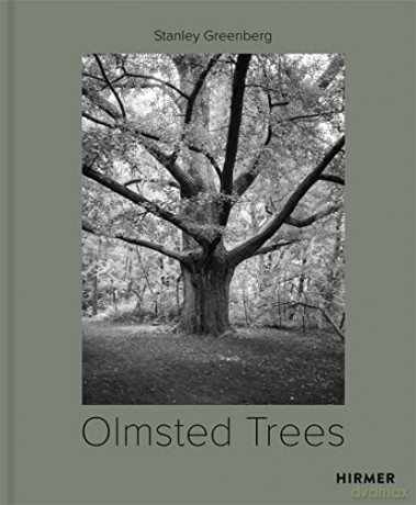 Olmsted Trees (Bilingual edition): Stanley Greenberg - Tom Avermaete [KSIĄŻKA]