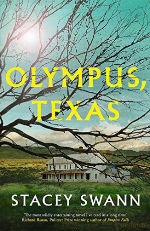 Olympus, Texas - Stacey Swann [KSIĄŻKA]