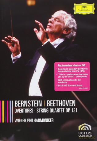 Bernstein: Beethoven Cycle Box [7DVD]