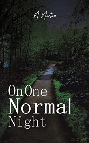 On One Normal Night - N Norton [KSIĄŻKA]
