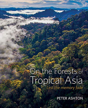 On the Forests of Tropical Asia: Lest the memory fade - Peter Ashton [KSIĄŻKA]