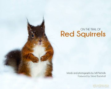 On the Trail of Red Squirrels - Will Nicholls [KSIĄŻKA]