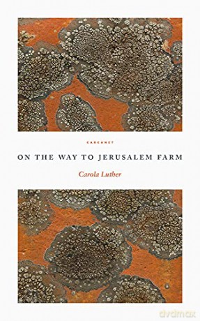 On the Way to Jerusalem Farm - Carola Luther [KSIĄŻKA]