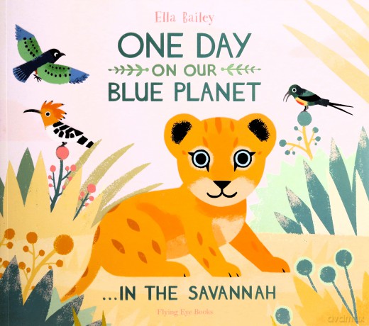 One Day on Our Blue Planet: In the Savannah - Ella Bailey [KOMIKS]