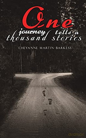 One Journey Tells a Thousand Stories - Cheyanne Martin-Barkess [KSIĄŻKA]