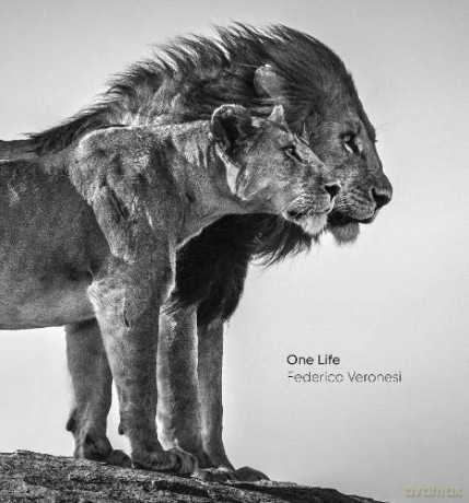One Life - Federico Veronesi [KSIĄŻKA]
