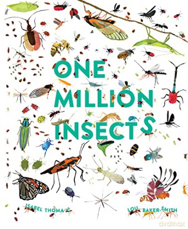 One Million Insects - Isabel Thomas [KSIĄŻKA]