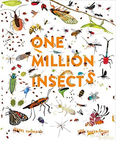 One Million Insects - Isabel Thomas [KSIĄŻKA]