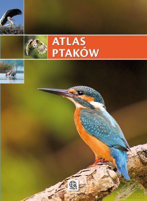 Seria IMAGINE. Atlas ptaków [KSIĄŻKA]