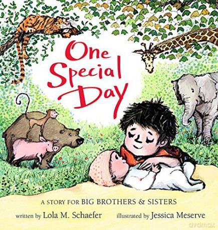 One Special Day A Story for Big Brothers and Sisters - Lola M. Schaefer [KSIĄŻKA]