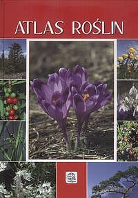 Seria IMAGINE. Atlas roślin [KSIĄŻKA]