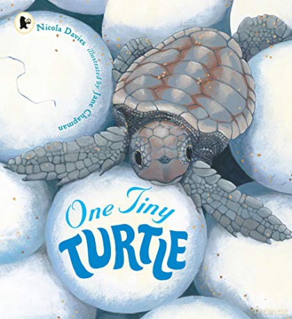 One Tiny Turtle - Nicola Davies [KSIĄŻKA]