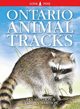 Ontario Animal Tracks (Animal Tracks) - Ian Sheldon [KSIĄŻKA]