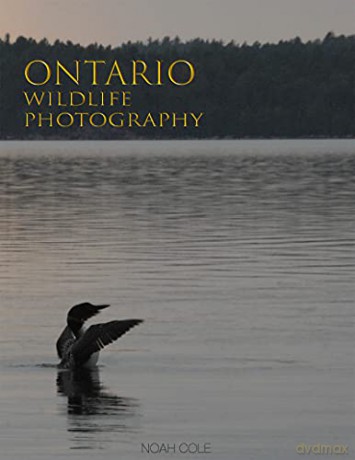 Ontario Wildlife Photography - Noah Cole [KSIĄŻKA]