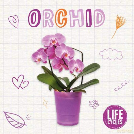 Orchid (Life Cycles) - Kirsty Holmes [KSIĄŻKA]