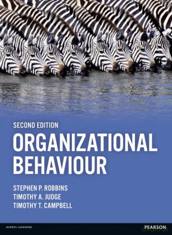 Organizational Behaviour - Stephen Robbins [KSIĄŻKA]