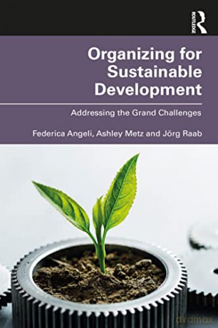 Organizing for Sustainable Development: Addressing the Grand Challenges - Federica Angeli [KSIĄŻKA]