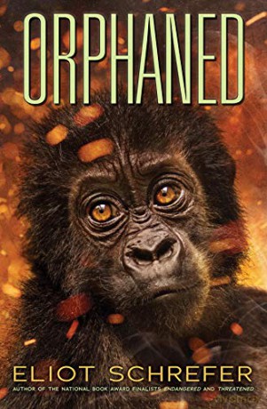 Orphaned (Ape Quartet #4): Volume 4 - Eliot Schrefer [KSIĄŻKA]