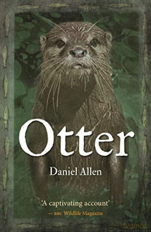 Otter - Daniel Allen [KSIĄŻKA]