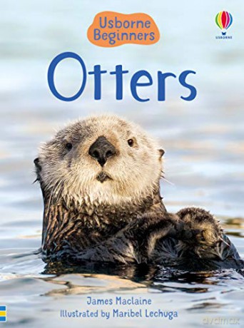 Otters (Beginners): 1 - James Maclaine [KSIĄŻKA]
