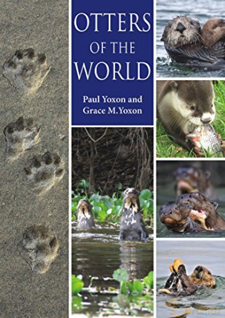 Otters of the World - Grace Yoxon [KSIĄŻKA]