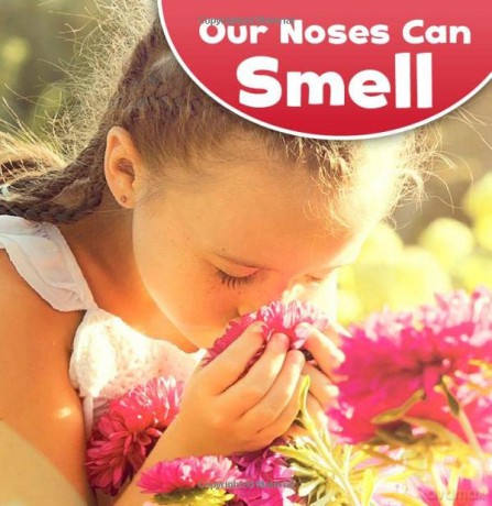 Our Amazing Senses: Our Noses Can Smell - Jodi Lyn Wheeler-Toppen [KSIĄŻKA]