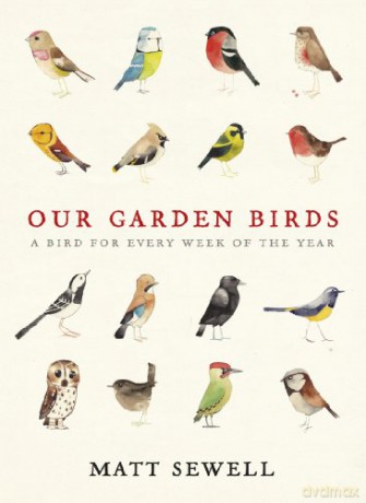 Our Garden Birds: a stunning illustrated guide to the birdlife of the British Isles - Matt Sewell [KSIĄŻKA]