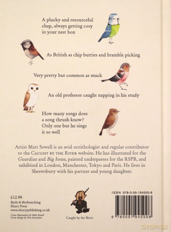 Our Garden Birds: a stunning illustrated guide to the birdlife of the British Isles - Matt Sewell [KSIĄŻKA]