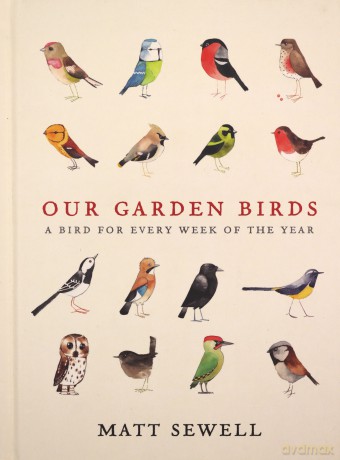 Our Garden Birds: a stunning illustrated guide to the birdlife of the British Isles - Matt Sewell [KSIĄŻKA]