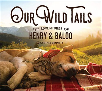 Our Wild Tails: The Adventures of Henry and Baloo - Cynthia Bennett [KSIĄŻKA]