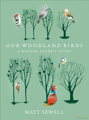 Our Woodland Birds - Matt Sewell [KSIĄŻKA]