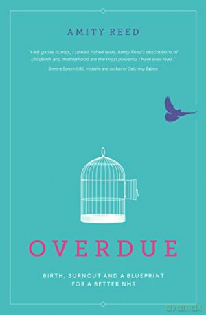 Overdue: Birth, burnout and a blueprint for a better NHS - Amity Reed [KSIĄŻKA]