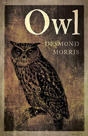Owl - Desmond Morris [KSIĄŻKA]